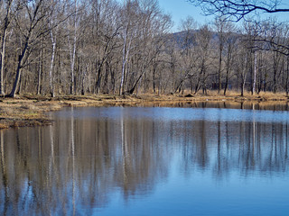 warm spring morning on the lake
