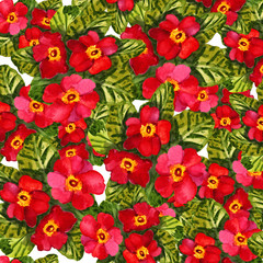 Primrose (primula) flowers. Seamless floral background. Aquarelle Card