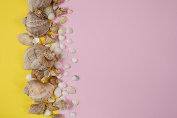 Summer composition.Flat lay, top view of various kinds seashells on pink and yellow background. Copy space in minimal style, template for text. Vacation concept