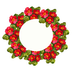 Primrose (primrose) flowers in a round frame floral background Card Watercolor