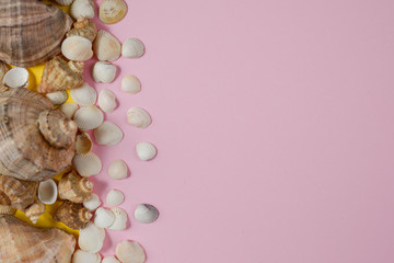 Fototapeta na wymiar Creative flat lay concept of summer travel vacations. Top view of various kinds seashells on yellow and pink background. Copy space in minimal style, template for text