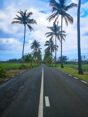 Obraz premium mauritius