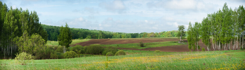 Panorama of a wild meadow with blooming yellow flowers, deciduous forest and arable land in the background. Can be used for banner