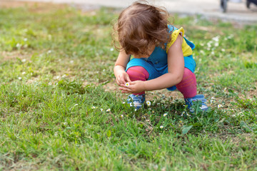 Cute little girl picking flowers in park.