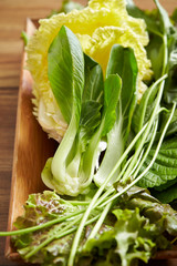 Various leaf vegetables on wooden plate