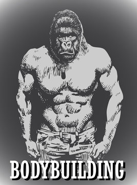 Vector image of bodybuilder athlete as big strong gorilla in artistic style