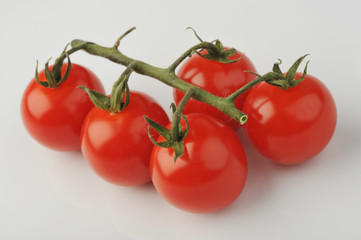 Whole group red tomatoes with green branch isolated on gray background. Healthy organic vitamin plant tomato closeup photo