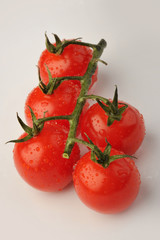 Whole group red tomatoes with green branch isolated on gray background. Healthy organic vitamin plant tomato closeup photo