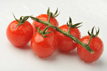 Whole group red tomatoes with green branch isolated on gray background. Healthy organic vitamin plant tomato closeup photo