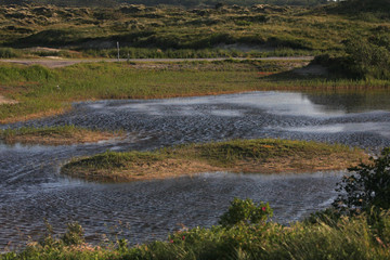 Lake at Terschelling