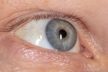 Fototapeta premium Blue eye on the man's face. Macro