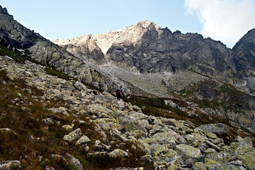 Fototapeta na wymiar Mala Zmrzla dolina with peaks above in Vysoke Tatry mountains in Slovakia