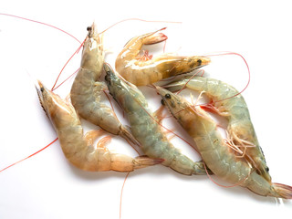 Shrimp multiple, isolated on white background.