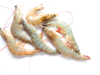 Shrimp multiple, isolated on white background.