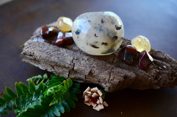 Healing Crystal Bundle. Agate Palm Stone, Tumbled Petrified Wood, and Tumbled Citrine. Crystal variety pack, Spiritual Growth stones, meditation and healing crystals. 