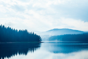 A forest reflection on a lake. Winter landscape