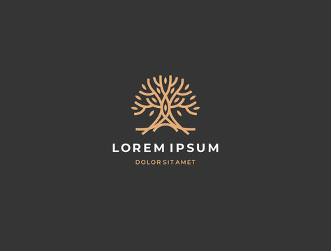 Abstract tree logo icon. Universal creative premium solid floral leaf symbol. Cosmetic and spa. Vector circle life tree icon sign.