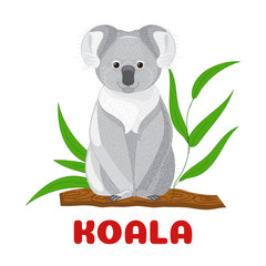 Koala flashcard. Australian animal. Vector illustration for kids education and child reading skills development. Sight Words Flash Cards For children to learn read and spell.