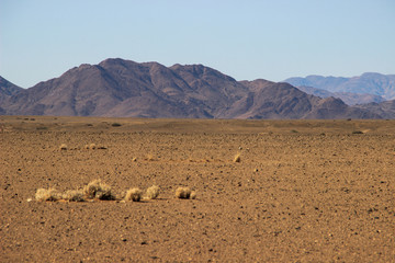 Desert landscapes with mountains in the south of Namibia. The dry season, dry vegetation is a natural background.