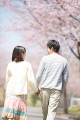 Fototapeta premium 桜並木道を歩くカップルの後姿