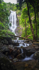amazig Temurun Waterfall with tree in Langkawi Malaysia
