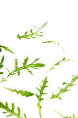 Arugula leaves isolated on white background.