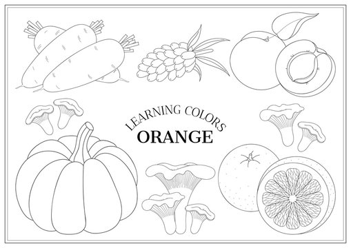 Learning colors - orange. Coloring book page for preschool children with outlines of carrot, sea buckthorn, apricot, pumpkin, chanterelle mushrooms, orange. Vector illustration for kids education.