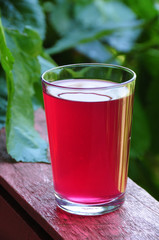 Cold rose sherbet