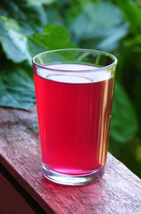 Cold rose sherbet