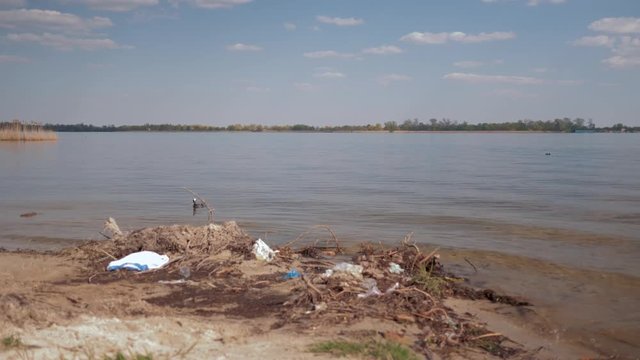 environmental pollution in nature, plastic trash on dirty river bank and wild bird swims in water