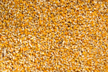 Corn