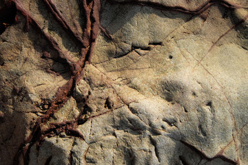 Rough Stone texture background