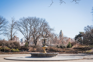 Fountain landscape of the bottom of Central Park with the branches of the trees without leaves of the end of winter - New York City, NY