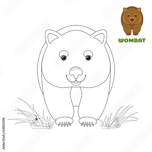 940 Coloring Books Child Development HD 940 Coloring Books Child Development HD