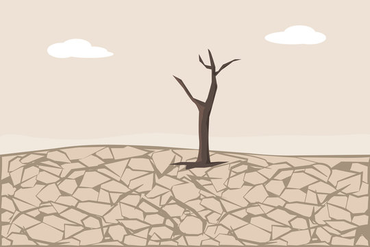 Dry Cracked Land. Soil Erosion and Desertification