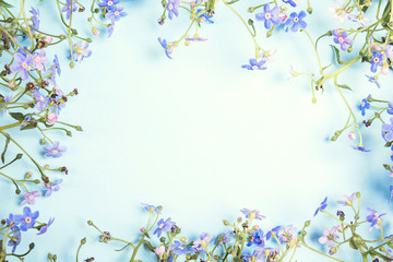 Obraz na płótnie Canvas Frame of forget-me-not flowers on a blue background.