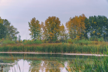 Quiet lake in the autumn forest, among the autumn, yellowing trees
