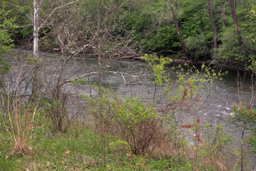 Cayuhoga Valley National Park