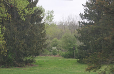 Trees in Cayuhoga Valley National Park