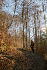 Trekker in autumn forest with orange colours and leaves