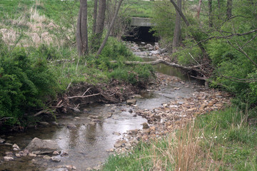 Fototapeta premium Stream in Cayuhoga Valley National Park