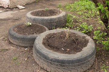 old car tires can be used as flower beds, fences, and not only