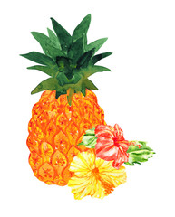 juicy watercolor pineapple and flowers of yellow and red hibiscus, isolated on white. Hawaiian holiday Aloha.