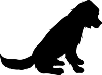 Vector silhouette of a golden retriever puppy sitting
