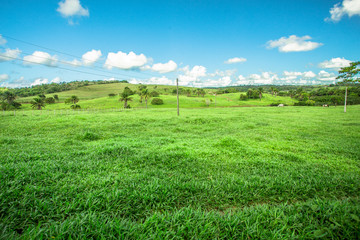 campo, fazenda