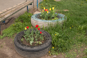 old car tires can be used as flower beds, fences, and not only