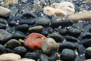 Background from multi-colored pebbles on the coast of Cyprus