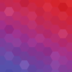 color hexagon layout for advertising. vector image. Abstract template for presentation. eps 10