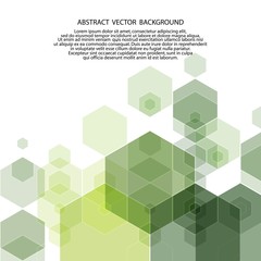 green abstract hexagons. vector background. polygonal style. presentation template. eps 10