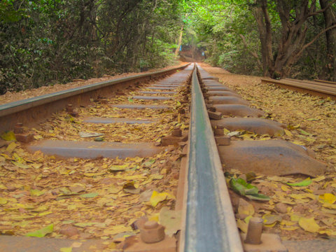 railway in the forest matheran india